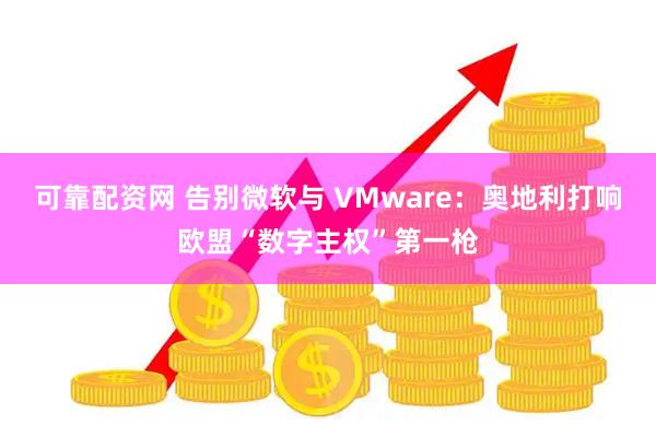 可靠配资网 告别微软与 VMware：奥地利打响欧盟“数字主权”第一枪