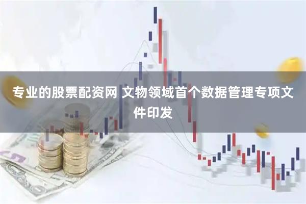 专业的股票配资网 文物领域首个数据管理专项文件印发